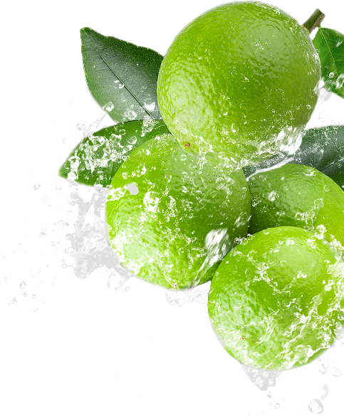 Organic Fruits