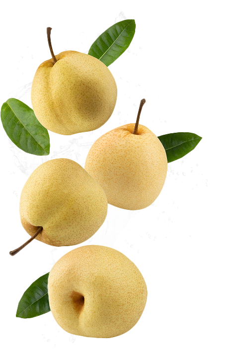 Organic Fruits